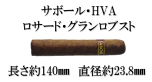 サボール　HVA ロサード　グランロブスト