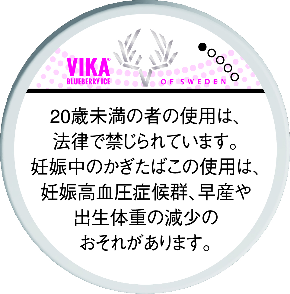 ヴィカスヴェンソン　ブルーベリーアイス