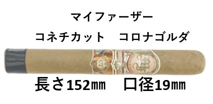 マイファーザー・コネチカット　コロナゴルダ