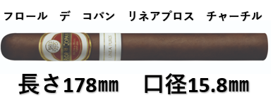 フロール　デ　コパン　リネアプロス　チャーチル