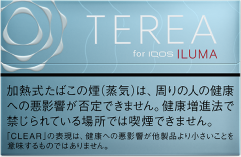 テリア　クリア　レギュラー